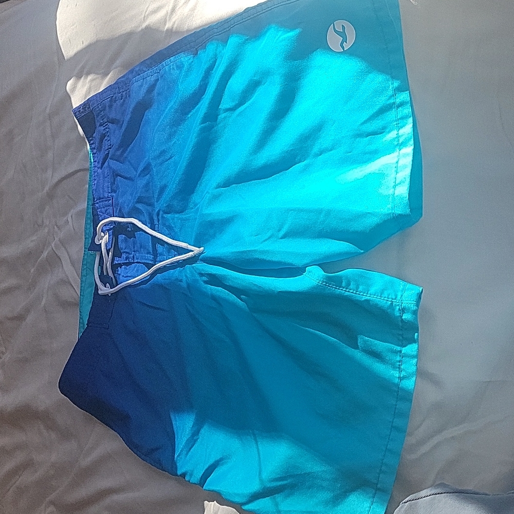 Mens Hollister Swim Trunks